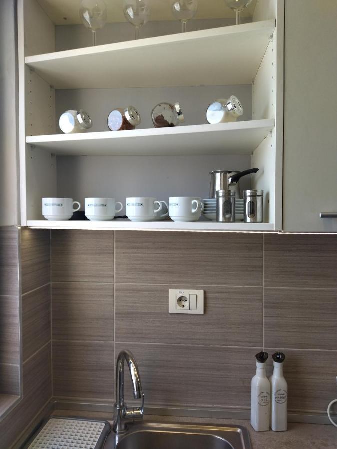 בלגרד Apartman Gana Altina Lux מראה חיצוני תמונה