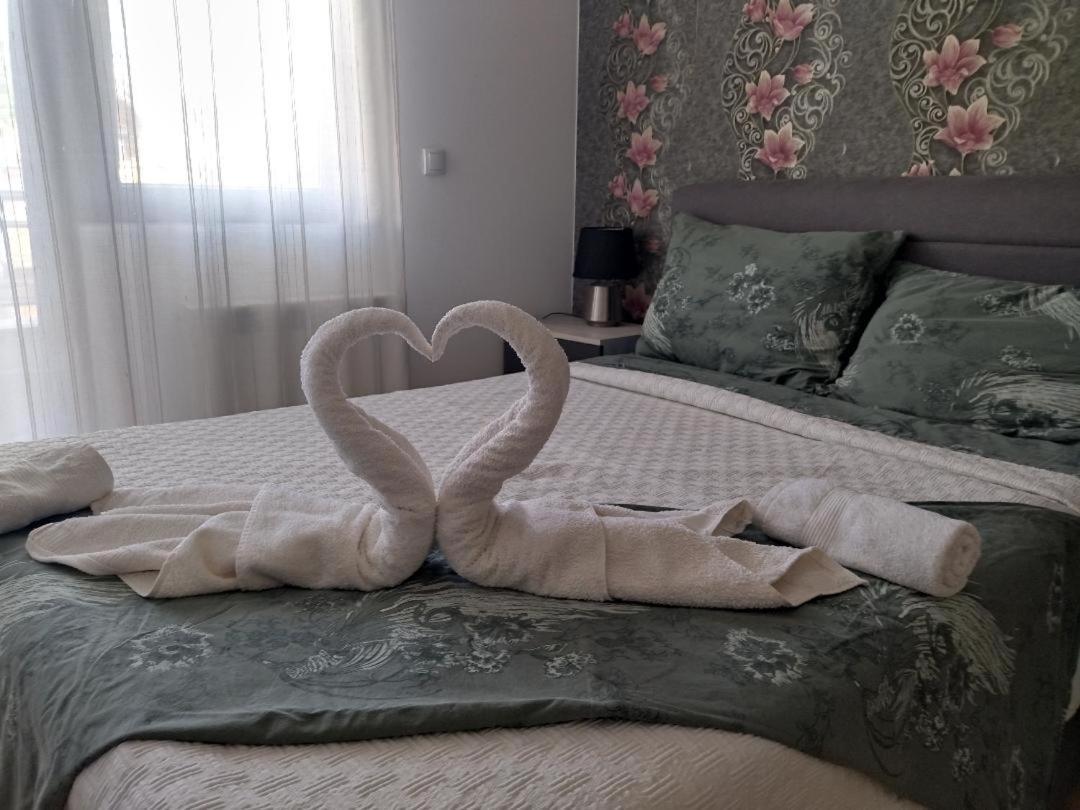 בלגרד Apartman Gana Altina Lux מראה חיצוני תמונה