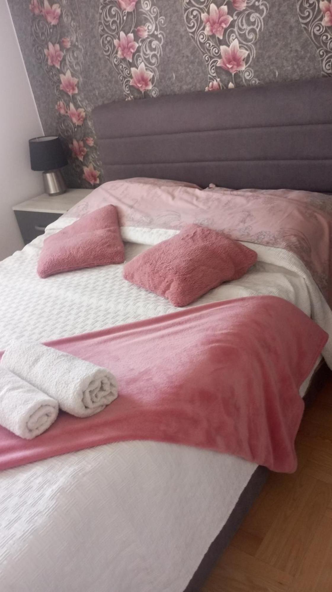 בלגרד Apartman Gana Altina Lux מראה חיצוני תמונה